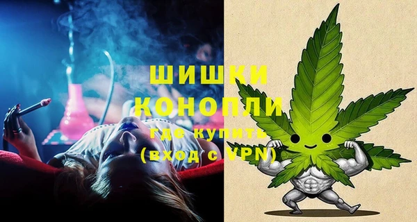 соль ск Арсеньев