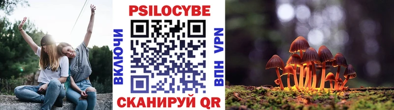 мега онион  Удачный  Галлюциногенные грибы MAGIC MUSHROOMS 